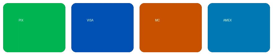 禁漫天堂支持的支付方式图标 - 包括PIX、VISA、万事达卡等